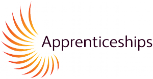 Apprenticeships-300x156