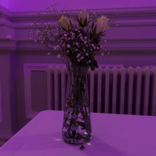 Prom-183