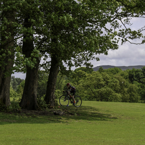 Bikeability-52